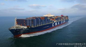 深圳宏福圣貨運(yùn)代理 專業(yè)紐約海運(yùn)雙清服務(wù)與高效運(yùn)輸代理解決方案